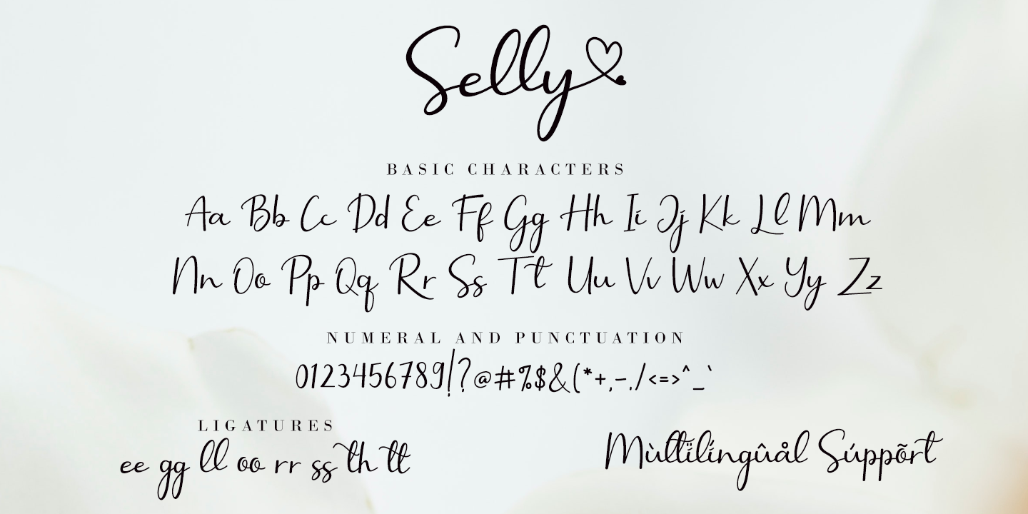 Example font Selly Calligraphy #4